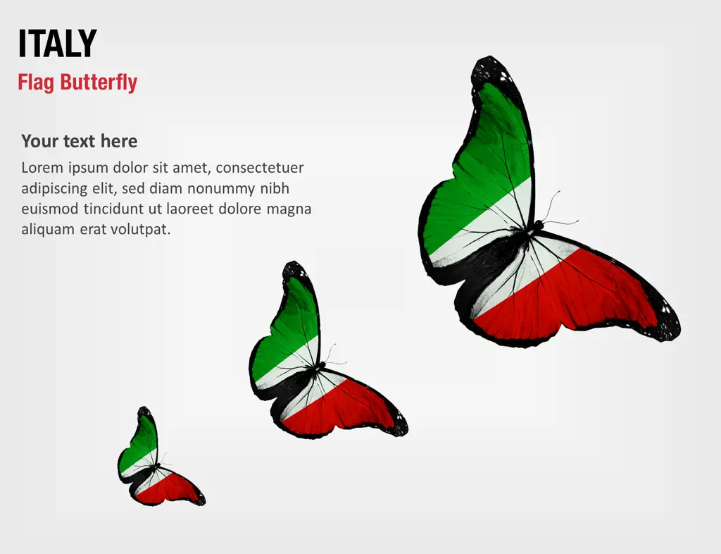 Italy Flag Butterfly