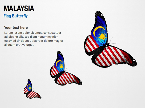 Malaysia Flag Butterfly