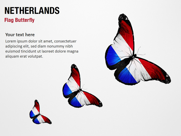 Netherlands Flag Butterfly