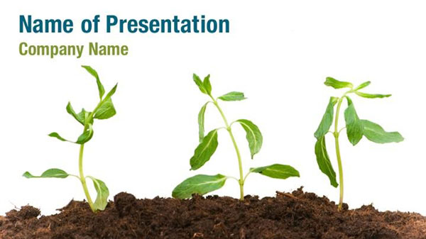 Growing Plant PowerPoint Templates Growing Plant PowerPoint