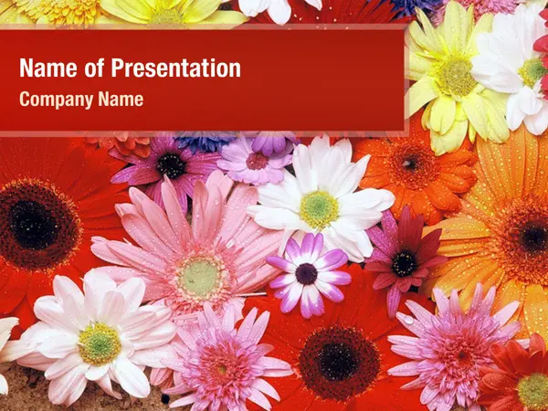 Blooming Flowers PowerPoint Templates - Blooming Flowers PowerPoint ...