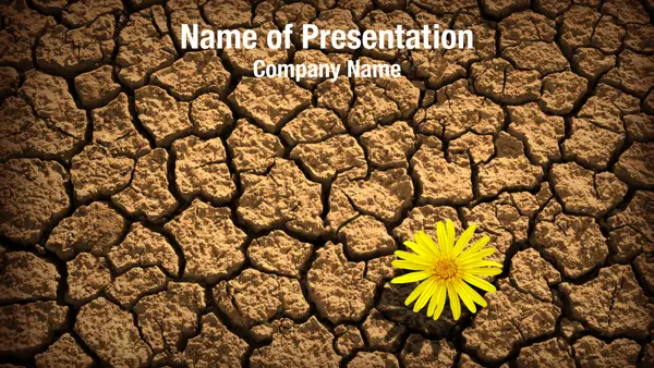 Lonely Flower PowerPoint Template