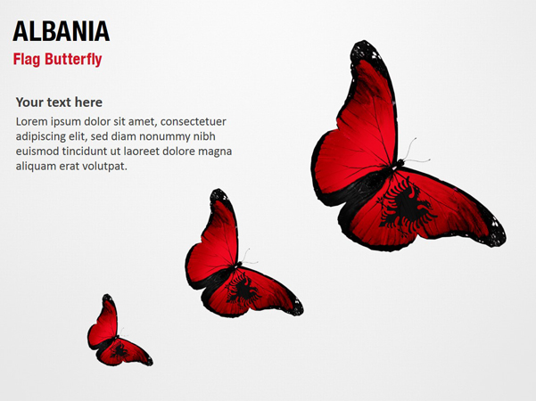 Albania Flag Butterfly