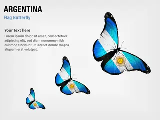 Borboleta da Bandeira da Argentina