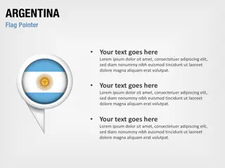 Ponteiro de Bandeira da Argentina