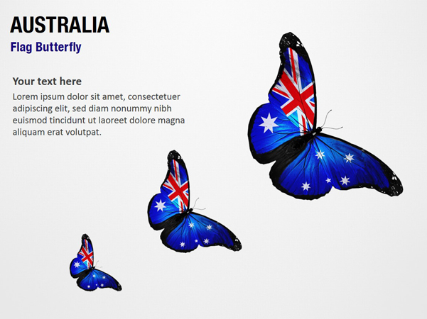 Australia Flag Butterfly