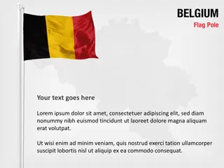 Mástil de la bandera de Bélgica