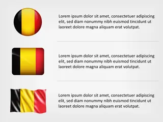 Iconos de la Bandera de Bélgica