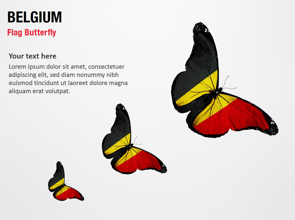 Belgium Flag Butterfly