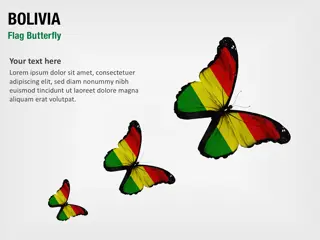 Mariposa de la Bandera de Bolivia