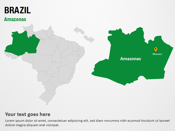 Amazonas - Brazil