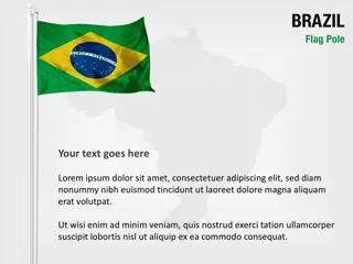 Pértiga de la Bandera de Brasil