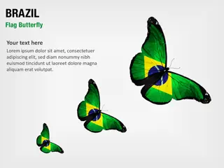 Brasilien Flagge Schmetterling