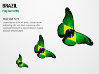 Brazil Flag Butterfly