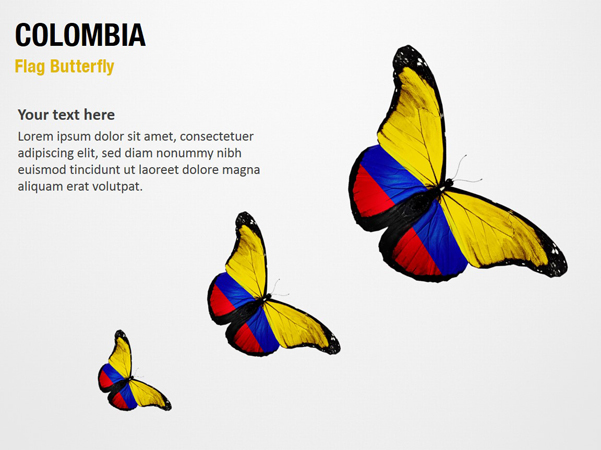 Colombia Flag Butterfly