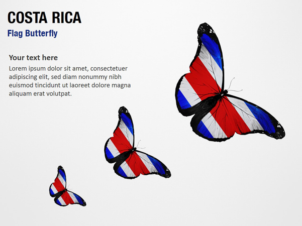 Costa Rica Flag Butterfly
