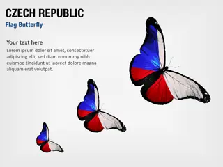 Tschechische Republik Flaggen-Schmetterling