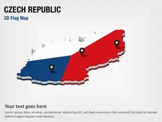 3D-Abschnittskarte mit Tschechischer Flagge