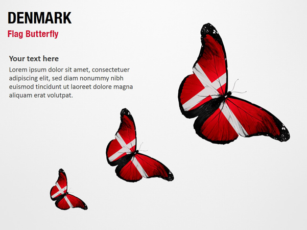 Denmark Flag Butterfly