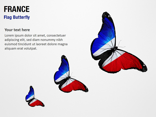France Flag Butterfly