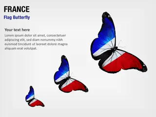 Bandera de Francia Mariposa