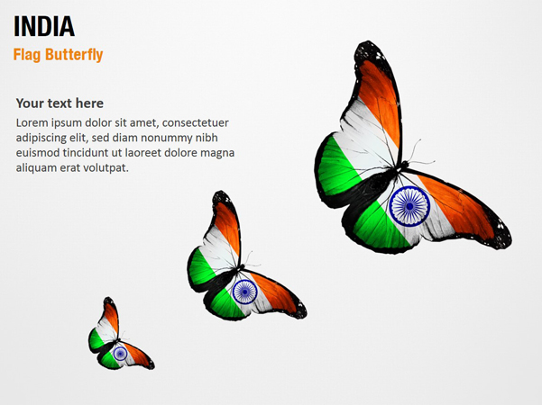 India Flag Butterfly