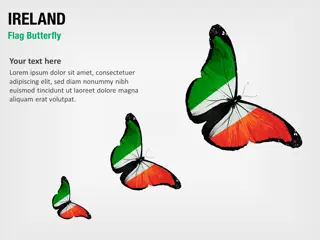 Mariposa con Bandera de Irlanda