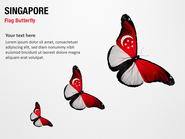 Singapore Flag Butterfly
