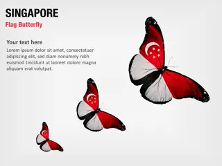 Mariposa de la Bandera de Singapur