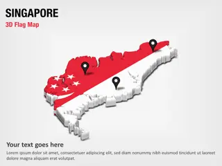 Mapa de sección 3D con bandera de Singapur