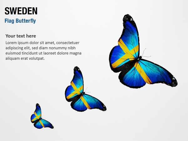 Sweden Flag Butterfly