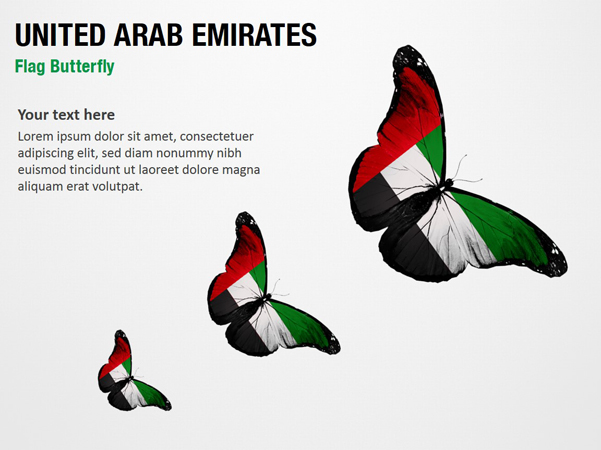 United Arab Emirates Flag Butterfly