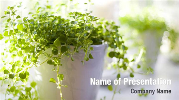 Green Plant PowerPoint Templates Green Plant PowerPoint Backgrounds